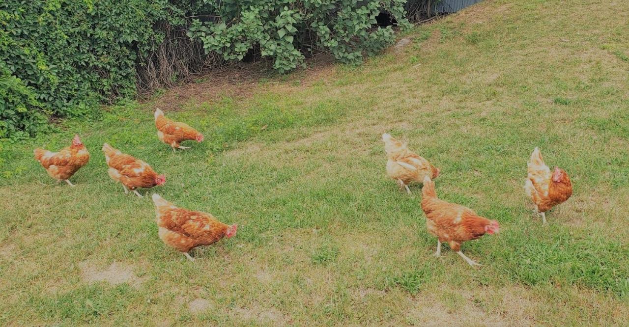 Auberge Du Vignoble ブロモン エクステリア 写真