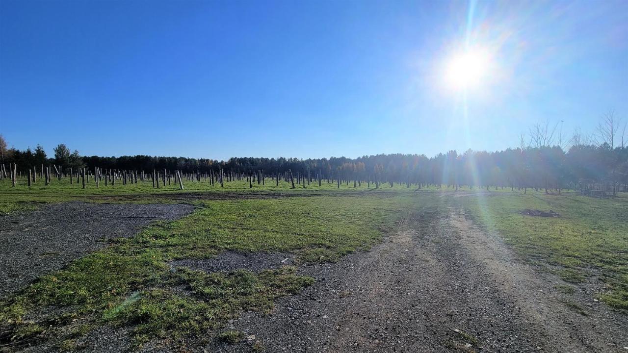 Auberge Du Vignoble ブロモン エクステリア 写真