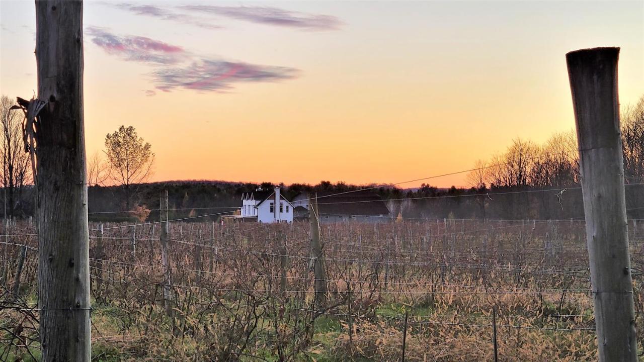 Auberge Du Vignoble ブロモン エクステリア 写真
